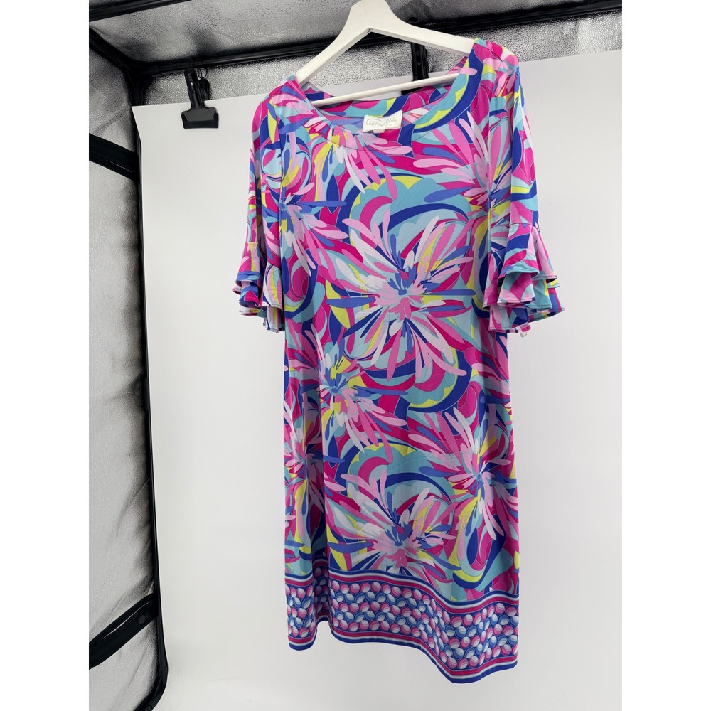 Pappagallo Women Pink Blue Floral Abstract Ruffle Sleeve Shift Dress Large